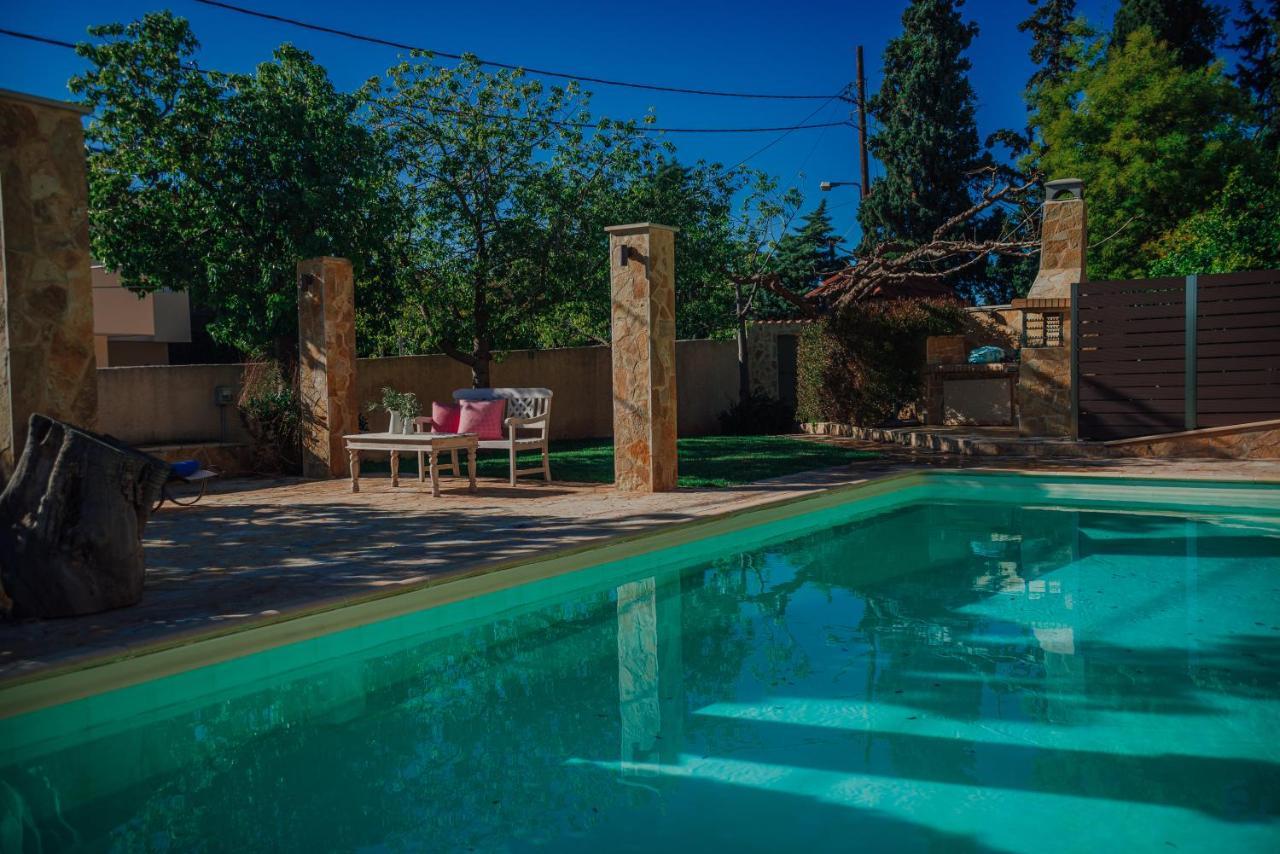 Pool And Sea View Apartments Agia Marina  Esterno foto